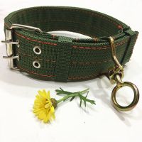 大型犬狗狗项圈宠物用品狗圈颈圈脖圈中型犬金毛德牧马犬脖套头套 军绿 中号宽4.0(适合40-70斤)