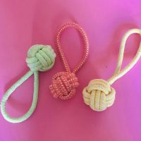 狗狗玩具磨牙洁齿耐咬绳结玩具泰迪金毛训犬用宠物玩具棉绳狗玩具 [1个]编织单耳 颜色随机不指定