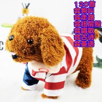 电动智能毛绒玩具狗儿童婴儿仿真泰迪男女玩具狗狗会走唱歌会跳舞 舌头狗条形服 A款电池款