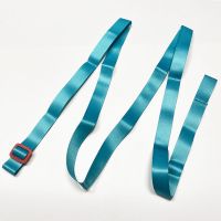 儿童扭扭车牵引绳宝宝溜溜滑板车滑滑自行车玩具车拉带防走失带子 纯色2.4米可调节款 1条装