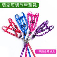 兔子牵引绳兔兔绳子用品衣服链子小宠物遛兔绳溜兔绳牵兔绳防挣脱 牵引绳(颜色随机)