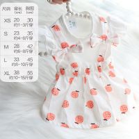狗狗衣服夏季薄款泰迪比熊猫咪兔子小型公主碎花背带裙子宠物衣服 夏日水果裙-橘色 XS(大约适合1-4斤穿)