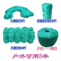 聚乙烯绳子尼龙绳捆绑绳晒晾衣绳晒被货车绳塑料绳压膜绳绳子批发 直径2毫米100米长