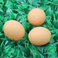 [套装]宠物狗玩具套装 狗狗玩具球发声磨牙训犬玩具 猫咪玩具 发声鸡蛋2个