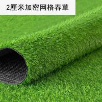 幼儿园草坪足球场草坪仿真草坪市政围挡人造草皮人工草皮草坪地毯 2.0网格背胶款[幼儿园铺装]