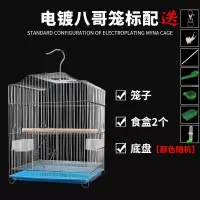 虎皮鹦鹉鸟笼大号电镀八哥文鸟家用鸟笼子鹩哥画眉牡丹绣眼繁殖笼 电镀八哥笼颜色随机[标配]