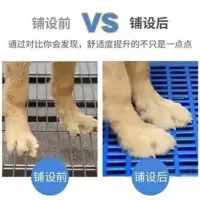 狗笼垫板狗狗垫脚板狗脚垫优质塑料垫板网格垫板加厚宠物脚垫 白色 66*52