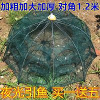 夜光引鱼网捕虾网虾笼捕鱼笼折叠捕鱼神器螃蟹泥鳅黄鳝工具龙虾网 夜光加粗加厚30孔+赠品+10包饵料