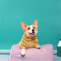 短腿队长宠物防掉毛柯基衣服狗狗保暖睡衣护肘衣防磨四脚连体衣 姜黄色条纹 L胸围48cm(参考体重6-12斤)