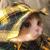 [八蛋]英伦风小女孩~秋冬季ins猫衣服宠物狗狗衬衫斗篷格纹衬衣 英伦风帽子 S(建议体重1-3斤)