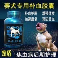 宠盾补血胶囊宠物猫狗补血产后术后贫血宠物营养品生血猫狗补血 宠盾补血胶囊宠物猫狗补血产后术后贫血宠物营养品生血猫狗补血