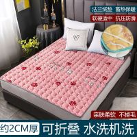 [广东发货]法兰绒床垫软垫家用双人床褥学生宿舍0.6米儿童床垫 草莓[法兰绒] 0.6x1.2米[儿童床垫]