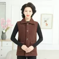 秋冬加厚泰迪绒开衫外套中老年妈妈装2021宽松大码仿羊羔绒马甲女 色号H81 2XL 【建议100-120斤】