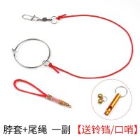 蜡嘴伯劳文鸟画眉拴鸟用脖套绳训鸟蜡嘴脖套绳锁鹦鹉脚环脚链配件 脖套+尾绳20厘米[送铃铛口哨]