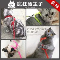 [送玩具]猫绳猫咪专用牵引绳拴猫绳工字牵引绳遛猫绳牵引带链子 颜色随机[特价-无赠品] 猫咪工子牵引绳(7斤内)