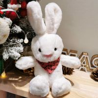 高端礼盒小兔子毛绒玩具小兔子玩偶公仔送女友闺蜜毕业生日礼物女 抱抱兔【围巾款-白色】 40厘米【尺寸含耳朵】