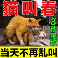 [仅需一滴]猫咪禁情液[无效全额退]宠物禁情母猫禁情液猫禁情 [仅需一滴]猫咪禁情液[无效全额退]宠物禁情母猫禁情液猫禁