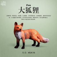 狐狸模型塑料小浣熊松鼠老鼠仿真动物模型儿童过家家玩具 小公狐狸