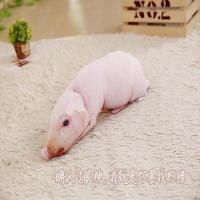 创意3D仿真猪抱枕玩偶 可爱趴趴猪公仔毛绒玩具靠垫枕头生日礼物 粉趴猪 小号:50cm