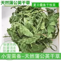21年新大麦草段兔粮提摩西草龙猫牧草荷兰猪粮苜蓿草干草豚鼠饲料 蒲公英50克