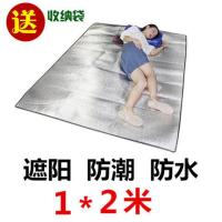 防潮垫野餐垫午睡垫露营野营用品户外加厚帐篷草坪沙滩公园垫子 常规1*2(厚2.5MM)送袋子