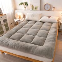 加厚羊羔绒床垫子床褥双人榻榻米1.5m学生宿舍单人可折叠软垫被褥 豪华保暖款羊羔绒-灰色 60*120[婴儿床]