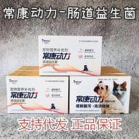 蔡博士常康动力益生菌10包装宠物猫狗调理肠胃缓解腹泻幼犬猫 蔡博士常康动力益生菌10包装宠物猫狗调理肠胃缓解腹泻幼犬猫包