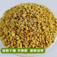 花粉蜂粮油菜杂粉中蜂花粉颗粒养蜂代用蜜蜂饲料喂蜂花粉 喂蜂花粉50克体验装