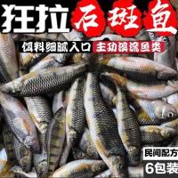 钓小溪石斑鱼饵料窝料野钓溪鱼饵鱼料溪石班鱼鱼饵石斑光唇鱼饵料 溪流石斑[120克1包]秘制 [1包]试用装