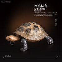 仿真海洋生物动物模型乌龟海龟陆龟象龟甲鱼棱皮龟小黄龟儿童玩具 四爪陆龟.