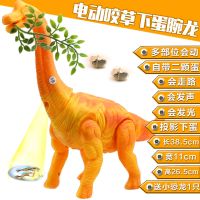 [电动走路下蛋乌龟 恐龙玩具 会下蛋的小鸡电动万向转灯光音乐投 走路下蛋投影食草蜿龙[橙] 电池版[送电池]