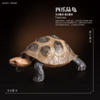 乌龟模型海龟陆龟陆地行走海洋生物玩具仿真两栖野生动物模型玩具 四爪陆龟