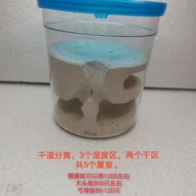 老毕爬宠 石膏杯巢宠物蚂蚁巢活体蚂蚁新手蚁蚂蚁窝试管巢 蚁巢