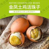 [D主播推荐]金德汇金凤五香钢化蛋10枚20枚30枚40枚 10枚