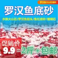 火山石底沙珊瑚砂火山岩珊瑚骨罗汉鱼鱼缸底砂水族过滤器材料滤材 火山岩一斤 +珊瑚骨一斤