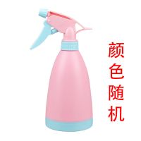 德沃多园艺小喷壶多肉浇花消毒喷雾瓶家用压力式喷水壶室内喷雾器 颜色随机1个