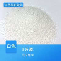 菲律宾沙 水族箱鱼缸海缸造景三湖慈鲷底沙珊瑚白沙贝壳沙5斤 亮白色[5斤]约2毫米