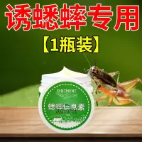 蟋蟀诱饵信息素安全气味专抓蛐蛐活捉各种蟋蟀诱饵饲料特效诱捕器 [1瓶装]诱蟋蟀专用