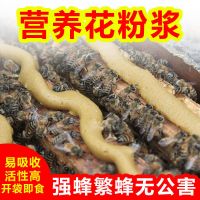 蜜蜂花粉浆花粉蜂粮中蜂油菜花粉膏蜜蜂饲料喂蜂花粉养蜂发酵蜂粮 小包花粉浆[直接饲喂] 1包(蜜蜂试用装)