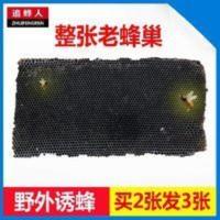 天然老巢脾蜂巢蜜蜂蜂窝新手养蜂专用工具诱蜂蜡招蜂用巢础蜂巢素 天然老巢脾蜂巢蜜蜂蜂窝新手养蜂专用工具诱蜂蜡招蜂用巢础蜂巢