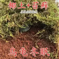 小乌龟冬眠用品装备恒温家用龟椰土保暖乌龟冬天保温箱冬眠箱 20g苔藓(量极少)