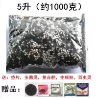 兰花营养土2斤松树皮珍珠岩5升兰花专用蝴蝶兰君子兰多肉石斛种植 营养土2斤(送礼包)