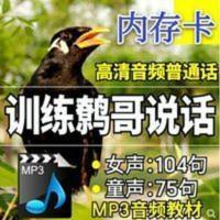 鹦鹉学舌内存卡八哥学说话教材卡鹩哥教说话学习机用内存高清国语 鹦鹉学舌内存卡八哥学说话教材卡鹩哥教说话学习机用内存高清国