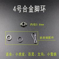 鹦鹉脚环不锈钢脚链 规格适配表 4号单独脚环