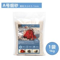 菲律宾沙寄居蟹底砂珊瑚沙贝壳砂白沙鱼缸装饰造景 A细颗粒0.5-1mm1kg