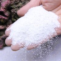 菲律宾沙贝壳白细沙珊瑚砂鱼缸装饰造景海缸三湖慈鲷鱼寄居蟹底沙 细沙1斤