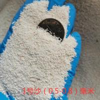 菲律宾沙水族箱鱼缸造景三湖慈鲷底沙珊瑚白沙贝壳沙宠物 1号沙(0.5-0.8)毫米2斤