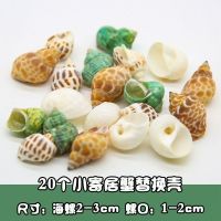 天然贝壳海螺珊瑚海星组合套装鱼缸造景装饰婚庆卷贝鱼寄居蟹用壳 20个小寄居蟹壳