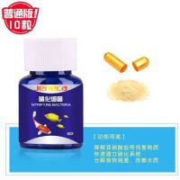 鱼缸硝化细菌硝化菌消化细菌液体水族鱼缸净水剂养鱼用品胶囊 普通级硝化细菌胶囊 50粒瓶装