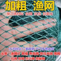 渔网网片聚乙烯鱼网拉网抬网防鸟网养鸡网果园防鸟天网加粗渔网 6股2厘米网孔 1米宽10米长